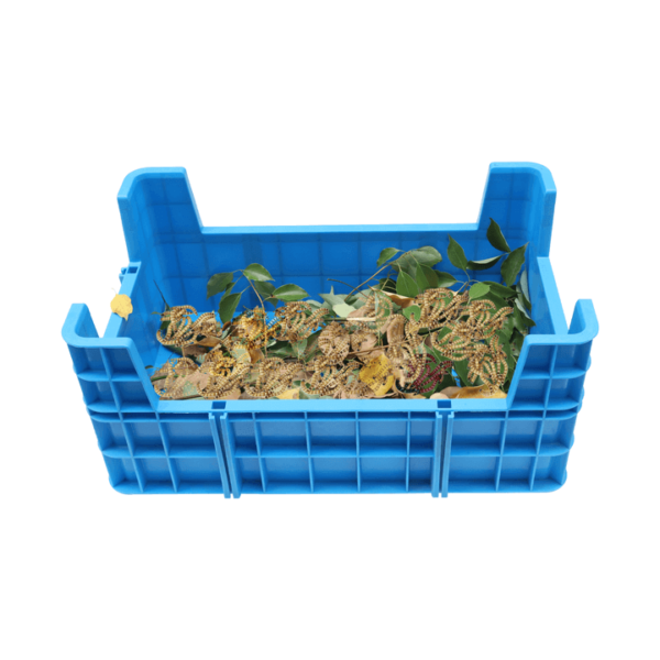 Insect breeding box for sale